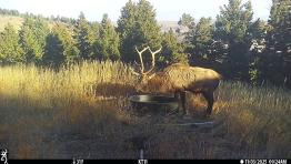 portfolio-wallpaper-548