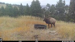 portfolio-wallpaper-549