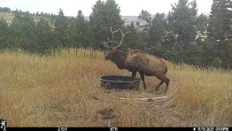 portfolio-wallpaper-550