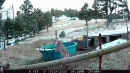 portfolio-wallpaper-551