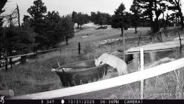 portfolio-wallpaper-552