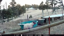 portfolio-wallpaper-553