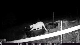 portfolio-wallpaper-554