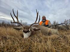 portfolio-wallpaper-555