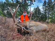 portfolio-wallpaper-557