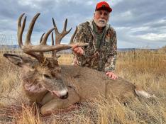 portfolio-wallpaper-556