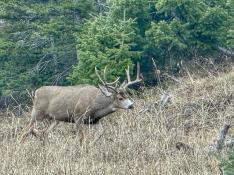 portfolio-wallpaper-560