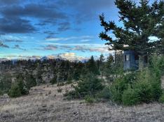 portfolio-wallpaper-561