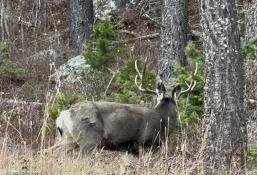 portfolio-wallpaper-563