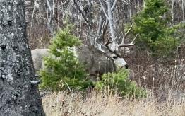 portfolio-wallpaper-564