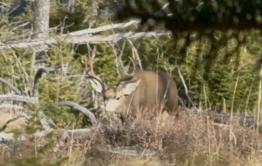 portfolio-wallpaper-565