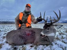 portfolio-wallpaper-566