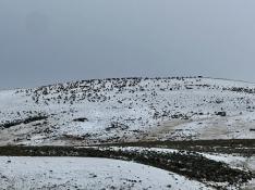 portfolio-wallpaper-569