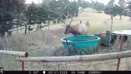 portfolio-wallpaper-643