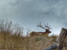 portfolio-wallpaper-507