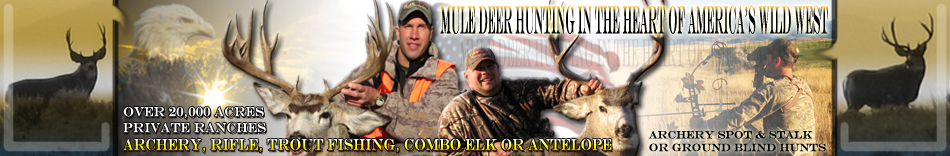Montana Mule Deer Hunting Trips