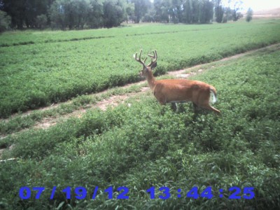 2012 Pre Season Trail Camera