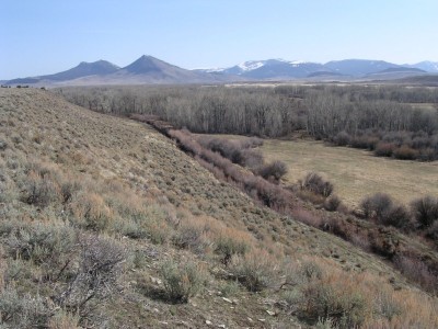 Deer Sign, & River Bottom Photos