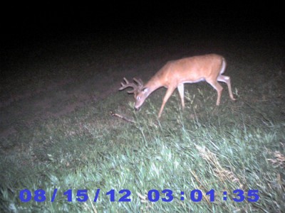 2012 Pre Season Trail Camera