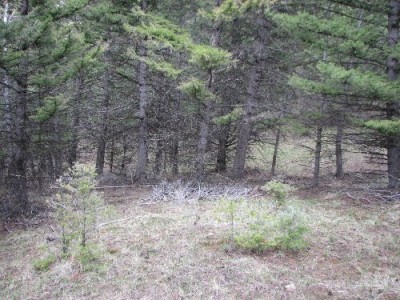 New Elk Hunting Leases
