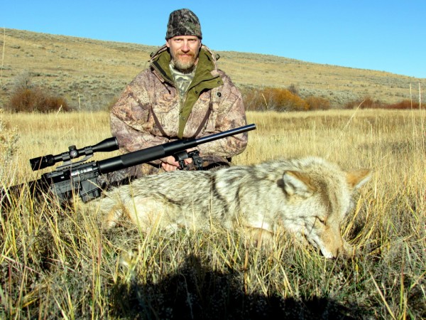 Hunting For Coyotes In Montana