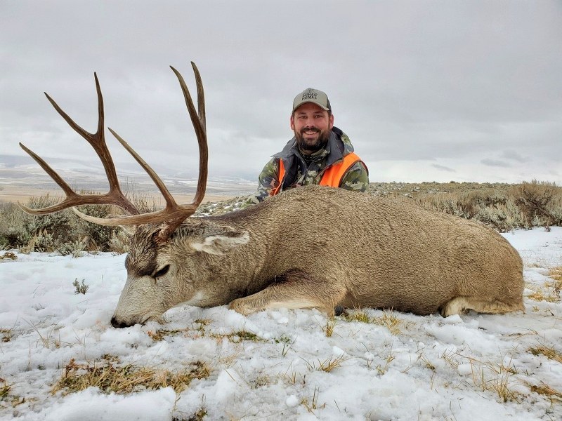 Montana Deer Hunting