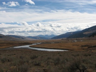 Yellowstone Park Photos