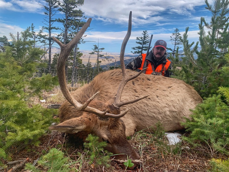 Bull Elk Rifle Hunts