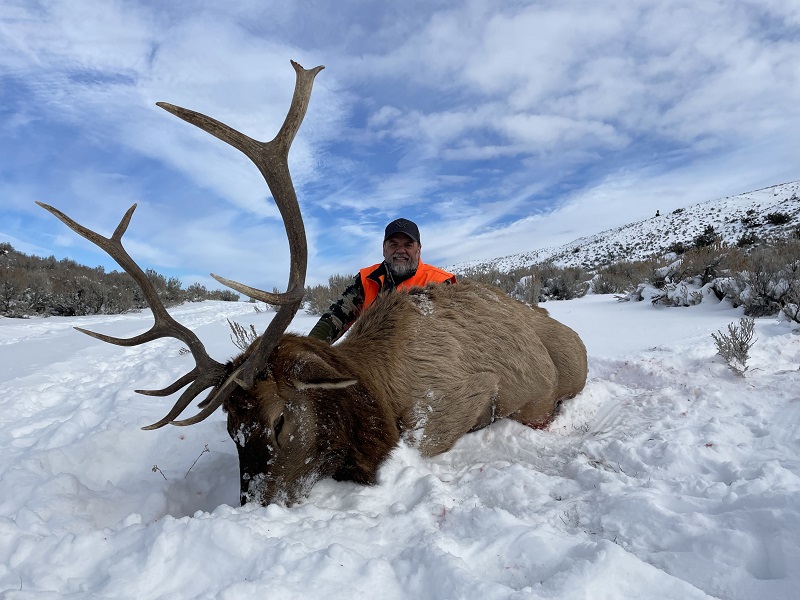 Late November Elk Hunt