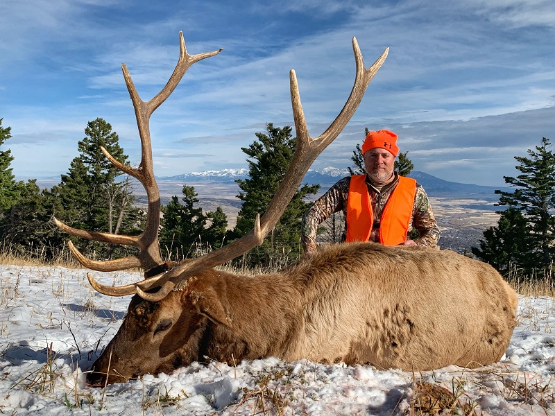 Montana elk hunts