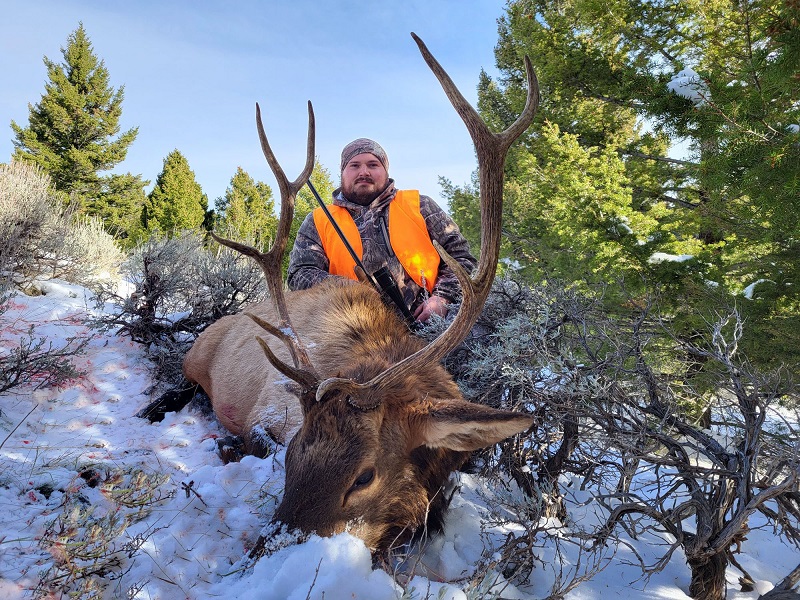 Elk Combo Hunt