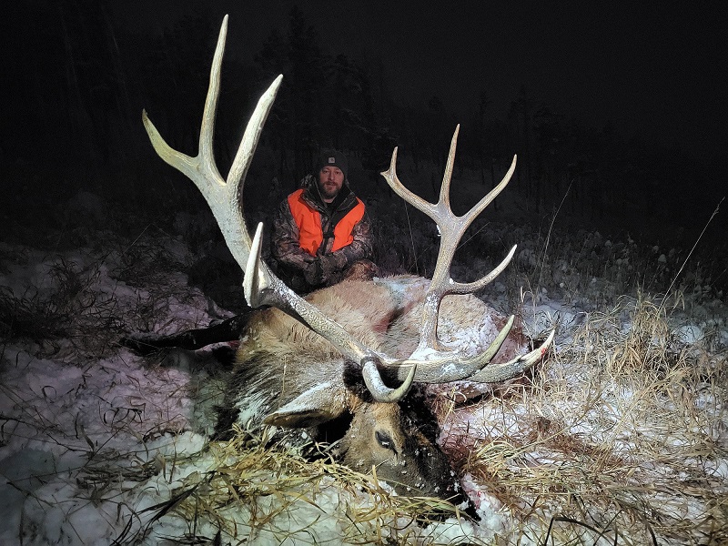 Elk Hunt Montana