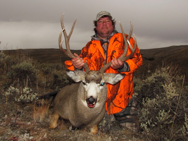 Montana Deer Age Results