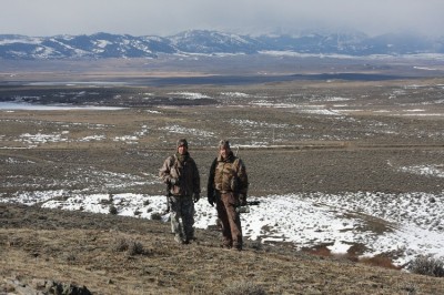 Montana Coyote Hunts