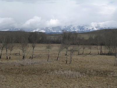 Deer Sign, & River Bottom Photos