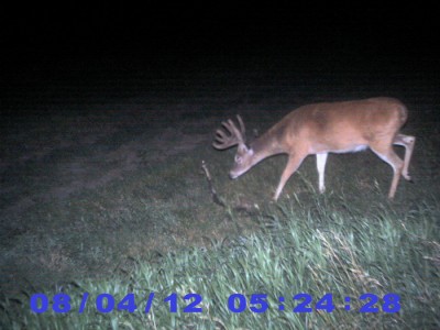 2012 Pre Season Trail Camera