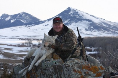 Montana Coyote Hunts