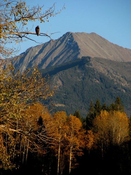 Montana Scenery