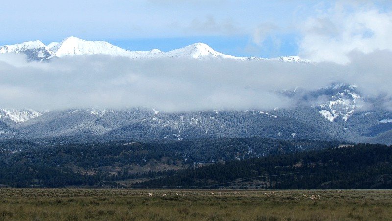 2015 Spring In Montana