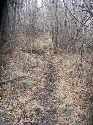 Deer Sign, & River Bottom Photos