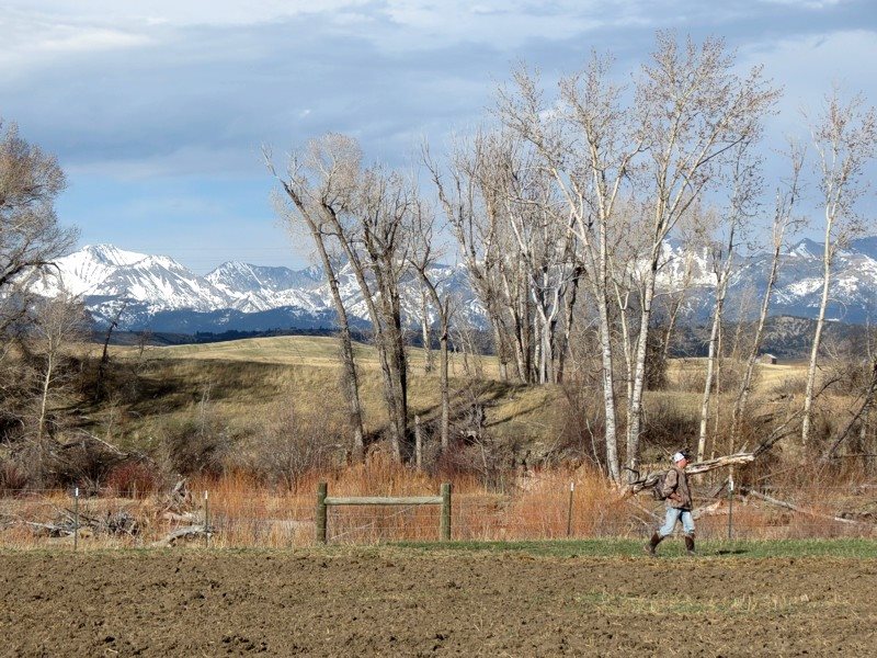 2015 Spring In Montana