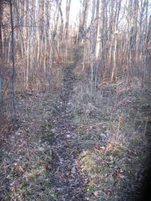 Deer Sign, & River Bottom Photos