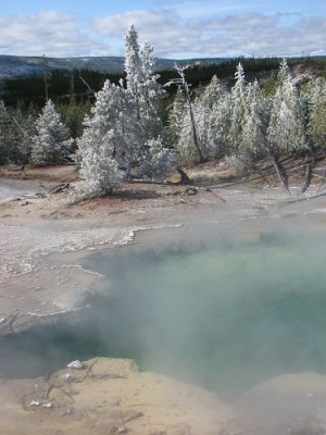 Yellowstone Park Photos