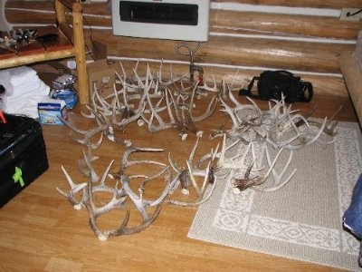 Bill and I Found a few sheds