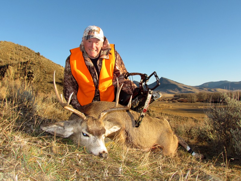 2016 Montana Mule Deer 3
