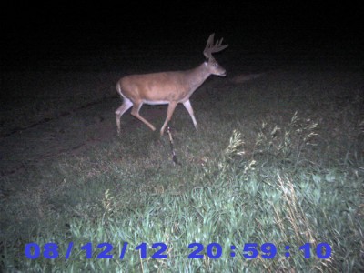 2012 Pre Season Trail Camera