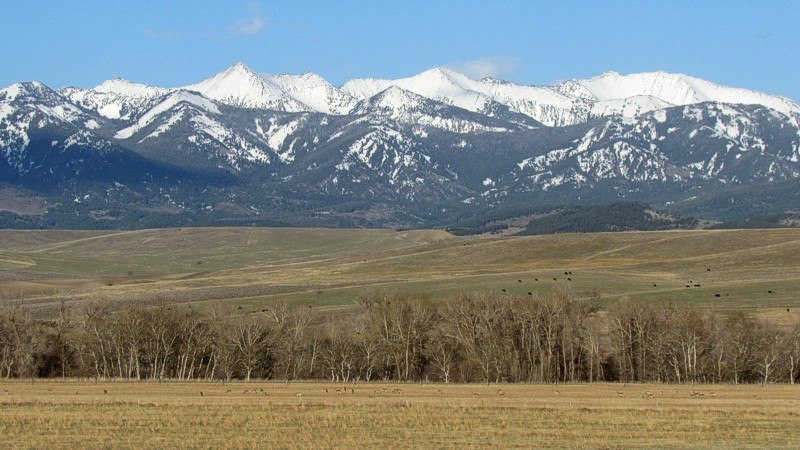 2015 Spring In Montana