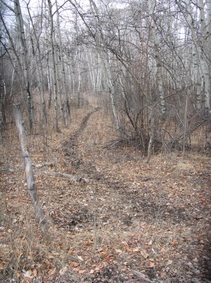 Deer Sign, & River Bottom Photos