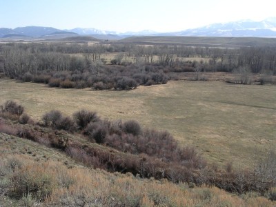 Deer Sign, & River Bottom Photos