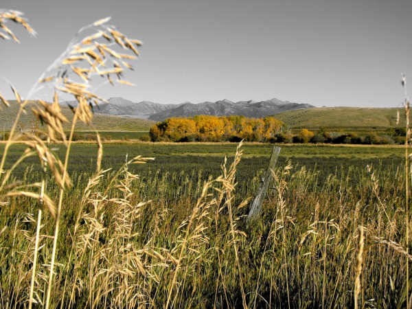 Montana Scenery